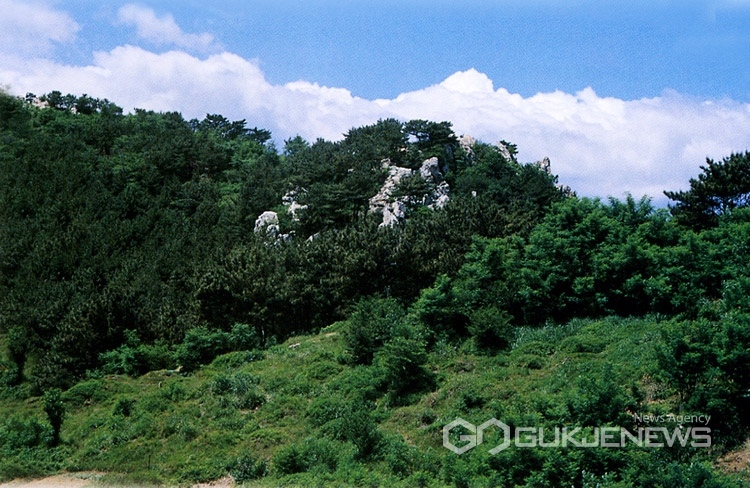 부산 '최고 산성' 배산성지 실체 밝힌다