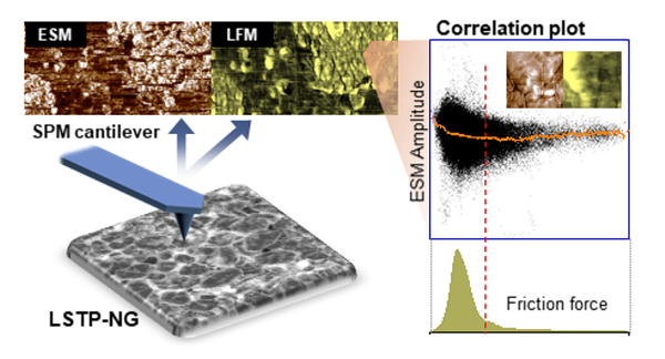 다양한 기능을 활용한 원자간력 현미경 분석 기술의 모식도.