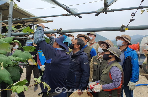 청도우리정신문화재단과 국립청도숲체원, 국립공원공단 운문산관리단 등 청도운문지역 3개 기관이 일손이 부족한 포도농가를 찾아 일손돕기에 나섰다(사진=청도우리정신문화재단)