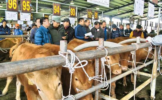 홍성가축시장 전경