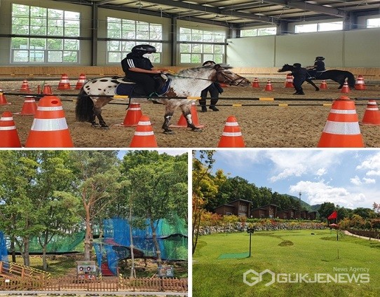단양승마장, 네트어드벤처, 파크골프장(사진=단양군)
