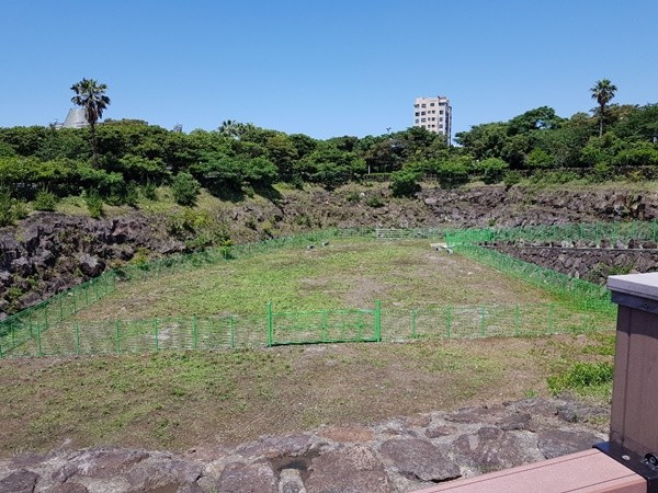 제주시는 신산공원 내 제4저류지를 무료로 개방해 반려동물 자율쉼터로 운영한다