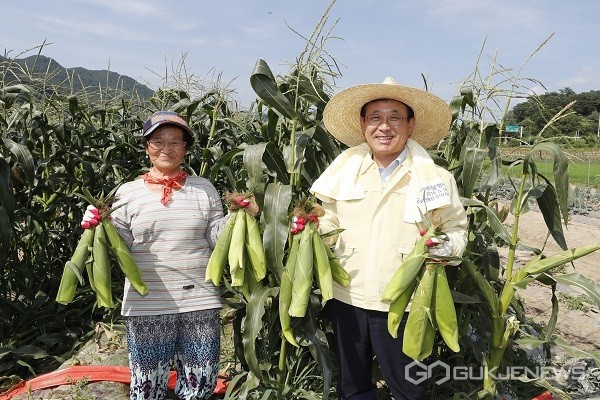 이차영 군수(오른쪽)가 9일 농민과 함께 수확한 대학찰옥수수를 들고 있다.(사진제공=괴산군청)
