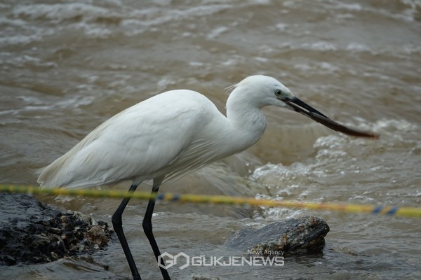 국제뉴스/양민성 기자