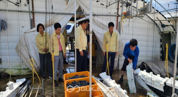 고령군의회 의원들이 최근 내린 집중호우로 비 피해를 입은 농가를 찾아 피해 상황을 살피고 있다(사진=고령군의회)