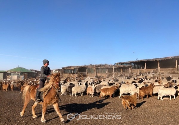 몽골 에덴 소움 지역 목장 전경.(사진제공=유라이크코리아)