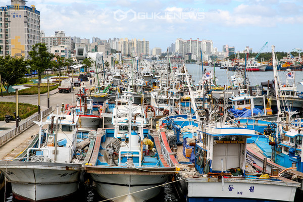 태풍 '바비'가 북상 중인 26일 포항시 북구 동빈내항에 피항한 어선들로 북적이고 있다. (사진=김진호)