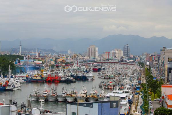 제9호 태풍 `마이삭`이 북상 중인 1일 경북 포항시 북구 동빈내항에 선박이 빽빽하게 들어 차 있다. (사진=김진호)