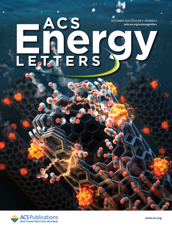 ‘ACS Energy Letters’ 속 표지.