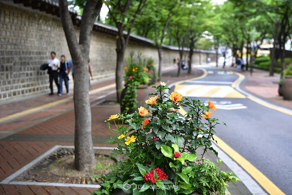 (사진=안희영 기자) 서울 중구 덕수궁 길을 걷는 시민들
