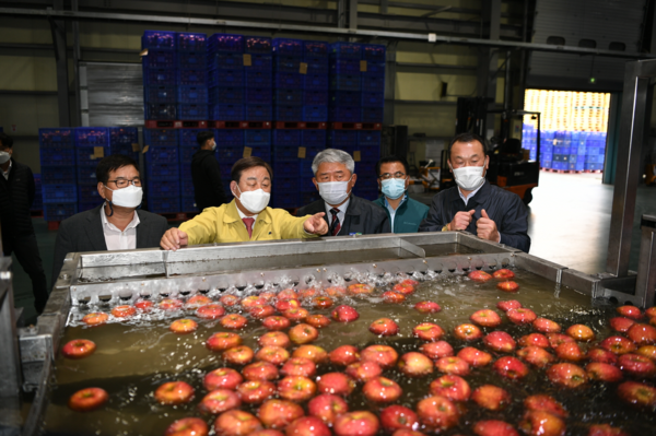 황선봉 군수(왼쪽 2번째)가 예산농산물유통센터(APC)의 선별시설을 살펴보고 있다.
