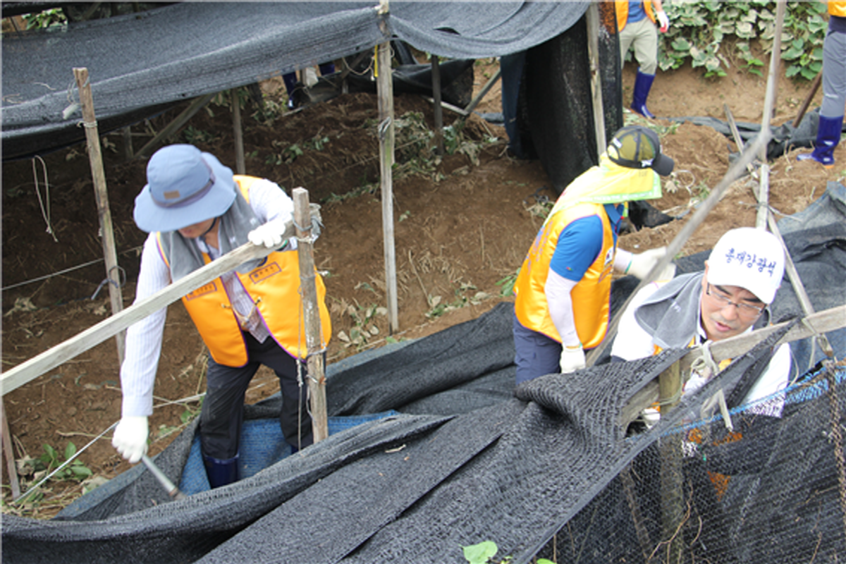 강광석 총재 및 뉴대청 라이온스 회원 200여명은 시름에 잠긴 금산군 제원면 수재민들의 마음을 위로하기 위해 피해지역 농가를 찾아 토사와 부유물 제거, 침수 시설물 철거 및 복구 등을 지원했다.