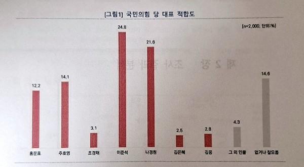 êµ­ë¯¼ì˜íž˜ ë‹¹ëŒ€í'œ ì í•©ë„ ì´ì¤€ì„ 24 8 ë‚˜ê²½ì› 21 6 é † ì •ì¹˜ ì •ì¹˜ ê¸°ì‚¬ë³¸ë¬¸ êµ­ì œë‰´ìŠ¤