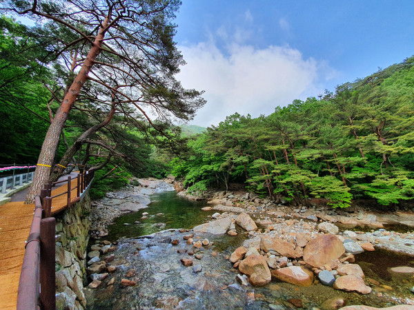 산청 대원사 계곡길