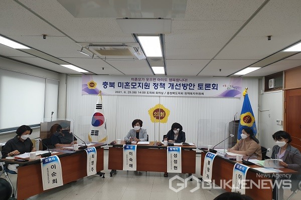 토론회 모습.(제공=충북도의회)