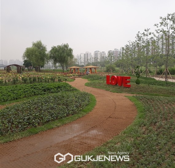 안양천 장미원 조성 공사 완료