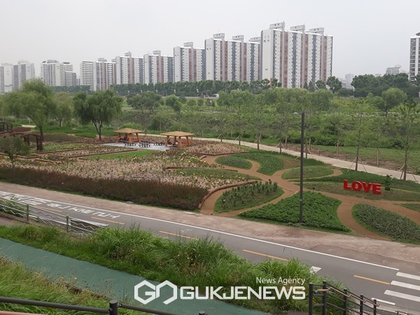 안양천 장미원 조성공사 완료