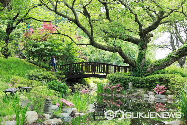 경주엑스포대공원 내 위치한 '비밀의 정원'은 500년 수령 왕버들과 연못이 이색적인 분위기를 자아낸다