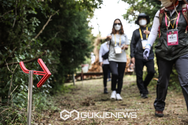 2020 세계유산축전 ‘워킹투어’ 참여 모습 [사진제공= 세계유산축전]