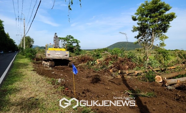 환경훼손 지적이 제기되면서 닷새 만에 공사가 중단되는 등 3년 넘게 공사 재개와 중지를 반복하고 있는 비자림로 확·포장공사