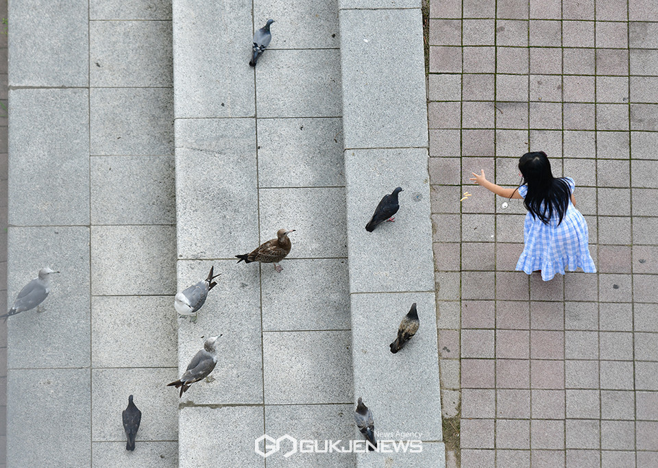 가을] 소녀와 가을 < 포토뉴스 < 핫 포토 < 포토 < 기사본문 - 국제뉴스