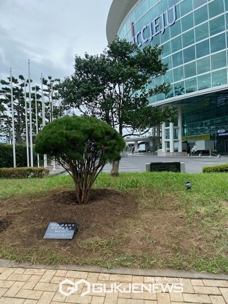 제주국제컨벤션센터 앞에 식재된 제9대 김의근 대표이사 퇴임 기념 나무 모습.