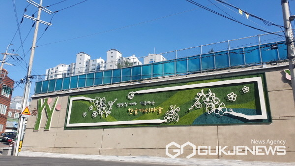 사진제공=서구청