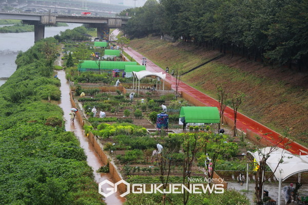 안양천 도시농업체험장 8월 가을개장 전경
