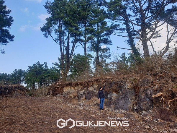 제주도자치경찰단은 지난 11월 말 곶자왈 지대 임야를 대규모로 훼손하다 적발된 2명에 대해 구속영장을 신청했다.[사진=제주도자치경찰단]