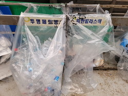 별도 분리 배출된 투명페트병