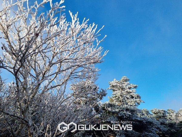 12일 한라산국립공원은 한라산 탐방 예약 중고거래 근절을 위해 시스템 개선을 추진하고 적발 시 최대 1년간 탐방을 금지한다고 밝혔다.