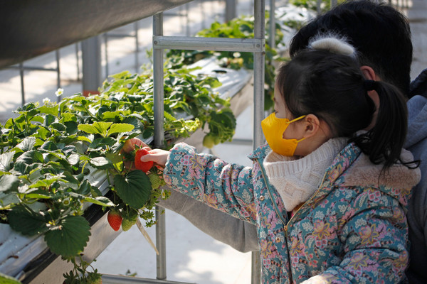 김해 클라우드베리.(사진=한국관광공사)