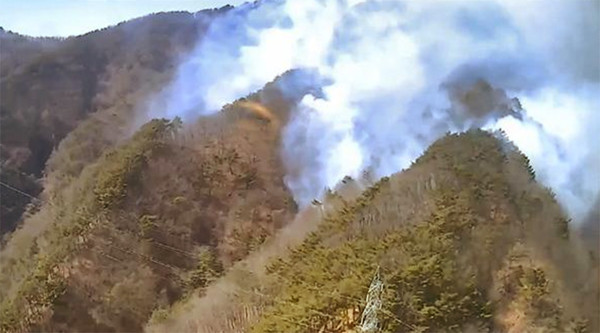 산불 (산림청 제공)