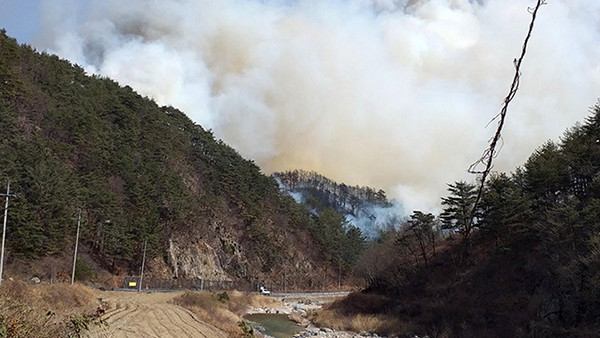 강풍주의보로 산불 거센 확산세, (사진=산림청 제공)