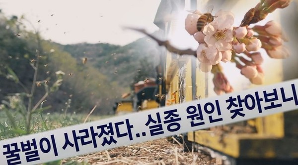 '그것이 알고싶다' 78억 마리 꿀벌 실종사건 "인류 종말 4시간"(사진-SBS)