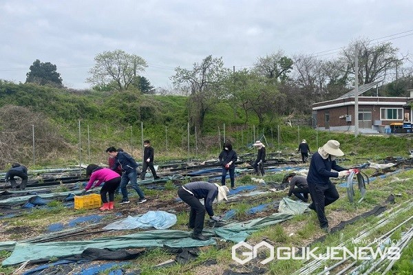 농산사업소 직원들의 일손봉사 모습.(제공=충북도청)