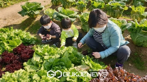 캠핑농장에서 텃밭체험을 하는 구민 가족. 사진=금천구청
