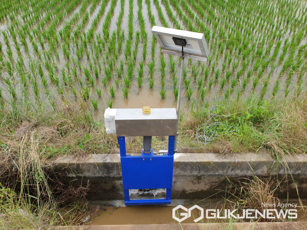 의령군은 경남도내에서 최초로 농림축산식품부의 '저탄소 벼 논물관리기술보급 시범사업'에 사업대상자로 선정됐다.