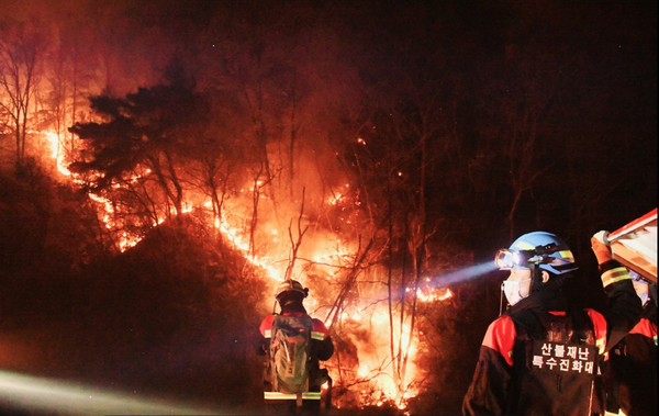 산불, 사진은 기사와무관함 (산림청 제공)