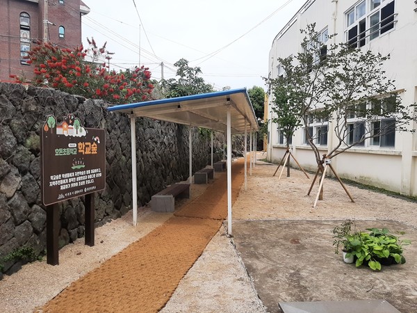 서귀포시가 효돈초등학교에 조성한 학교 숲.[사진=서귀포시청]