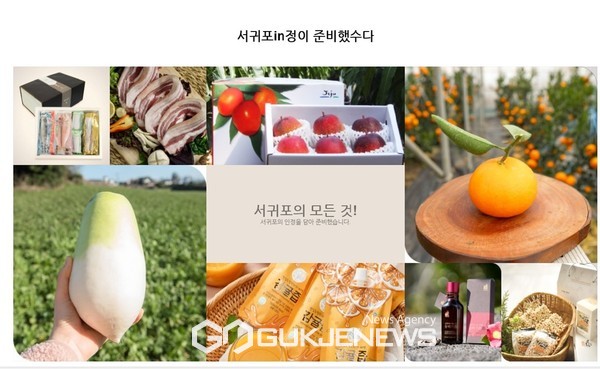  ‘서귀포in정’이 오픈 500일만에 매출 42억원을 달성했다. 작년 첫해 1월 25일 이후 총매출 23억 7600만원, 올해 5월 기준 18억 2400만원의 매출 성과를 압도적으로 거뒀다.[사진=서귀포시청]