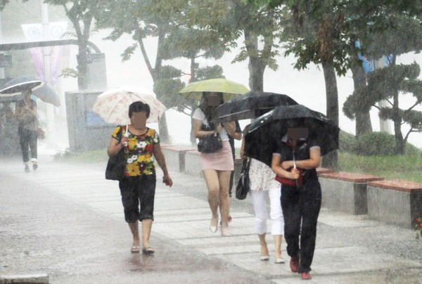 비스케치, 날씨, 폭우, 태풍 (국제뉴스DB)
