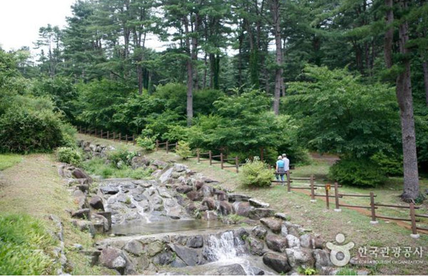 ‘비대면 관광지 100선’에 이름을 올린 잣향기푸른숲 (한국관광공사 제공)