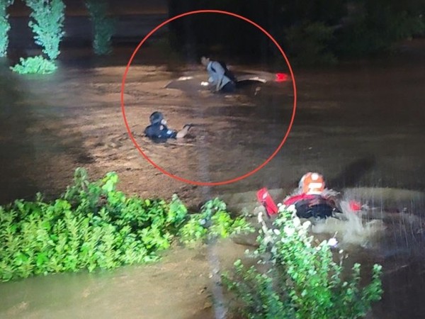 (서울소방) 소방관들이 지난 9일 밤 11시20분쯤 마포 절두산순교성지 인근에서 불어난 한강물에 고립된 40대 운전자를 구조하고 있다. /사진=마포소방서