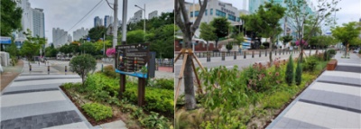 해운대구는 신도초·중·고 주변 500m를 '자녀안심 그린숲'으로 조성했다/제공=해운대구청