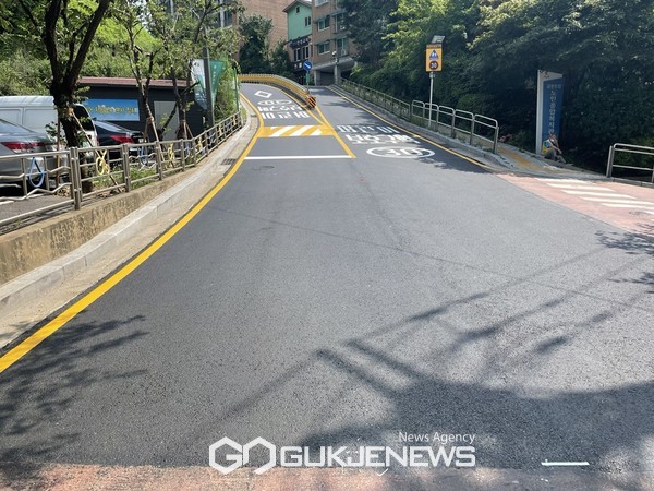 겨울철 폭설대비 연선 추가 도입. 사진=금천구청