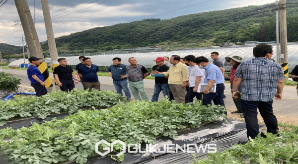 박현국 봉화군수, 폭염 피해 수박농가 방문 현장