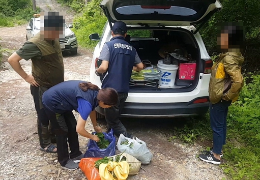 가을철&nbsp;불법&nbsp;임산물&nbsp;채취&nbsp;특별단속&nbsp;모습(사진=문경시)&nbsp;
