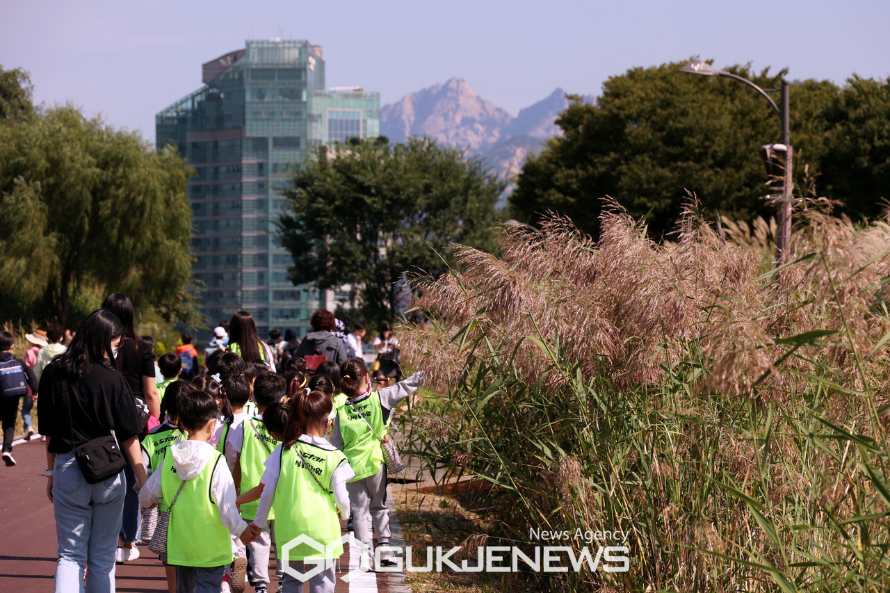 (서울=국제뉴스) 절기상 추분인  23일 서울 마포구 하늘공원을 찾은 시민들이 억새 사이를 거닐며 가을을 만끽하고 있다./사진=이용우기자