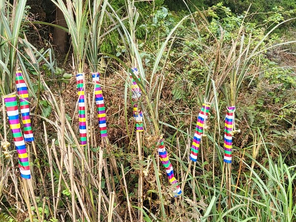 김도의 작가의 삶이 흐르는 길/ The Path Life Flows. [사진=문서현 기자]